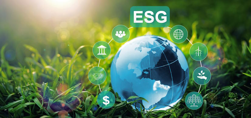 ESG practices